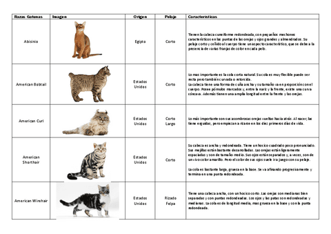Etnologia-Comparada-Gatos.pdf