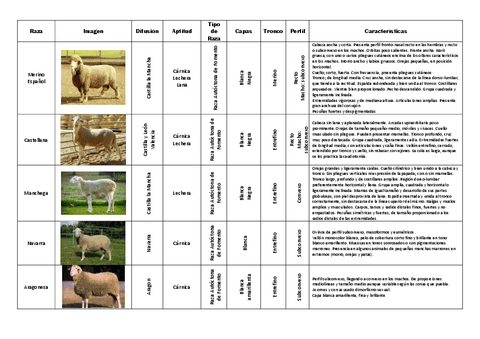 Etnologia-Comparada-Ovejas.pdf