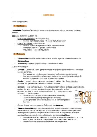 Tema-3-Cestodos.pdf
