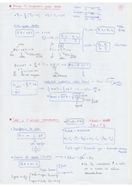 Formulario FFI.pdf