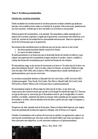 Tema-5.-Escultura-postminimalista.pdf