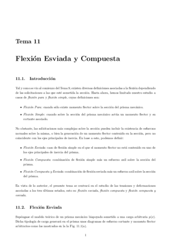 11-FlexionEsviadayCompuestav2019.pdf