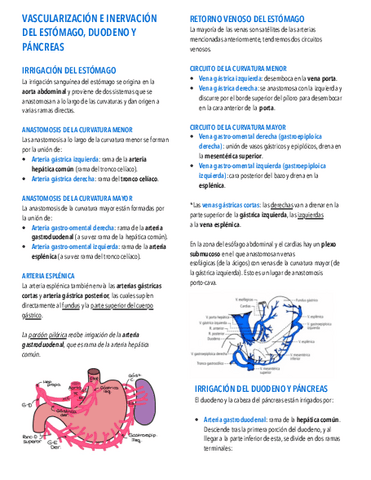 21.-Vascularizacion-e-inervacion-estomago-duodeno-y-pancreas.pdf