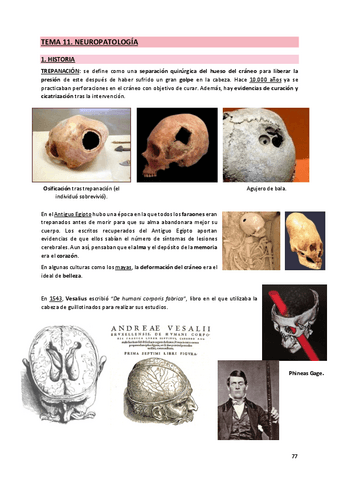 11. Neuropatología.pdf