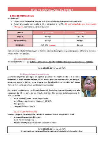 TEMA-29-30-perros.pdf