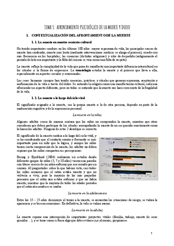 T3.pdf