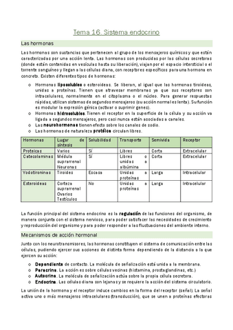 Tema-16.-Sistema-endocrino.pdf