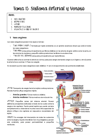 tema-15-fisio-animal.pdf