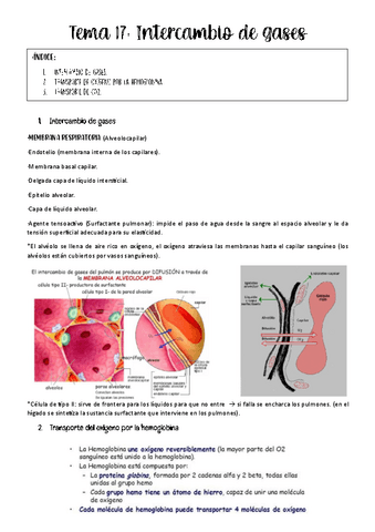 tema-17-fisio-animal.pdf