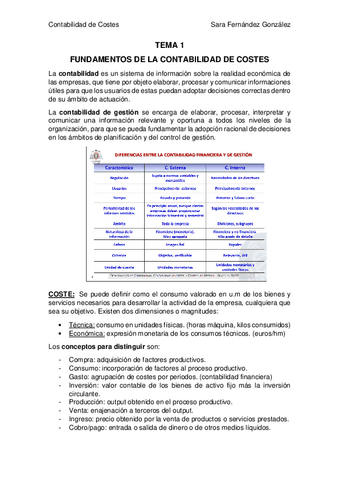 COSTES-RESUMEN-T1.pdf