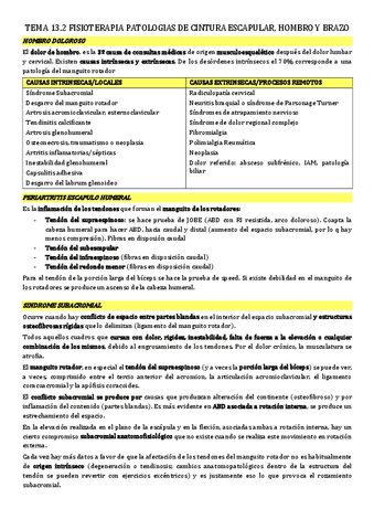 tema-13.2-fisio-cintura-escapular-hombro-y-brazo.pdf