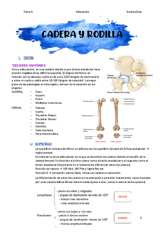 TEMA-6-Cadera-y-Rodilla.pdf