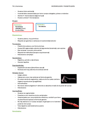 T4.1-Helmintos.pdf