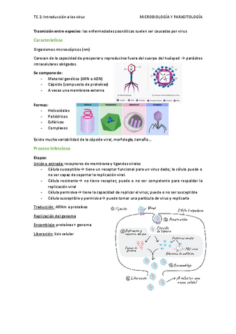 T5.1-Introduccion-a-los-virus.pdf