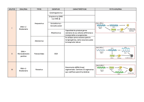 Tabla-clasificacion-virus.pdf