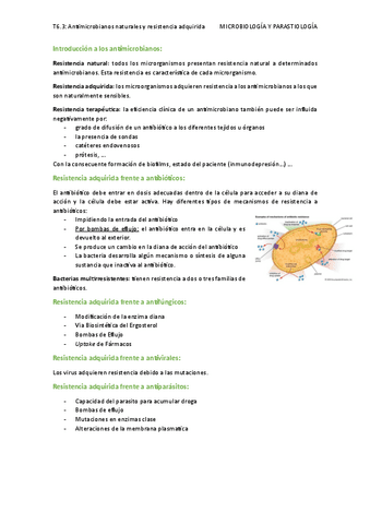 T6.3-antimicrobianos-naturales-y-resistencia-adquirida.pdf