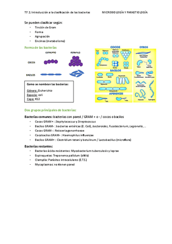 T7.1-Introduccion-a-la-clasificacion-de-las-bacterias.pdf