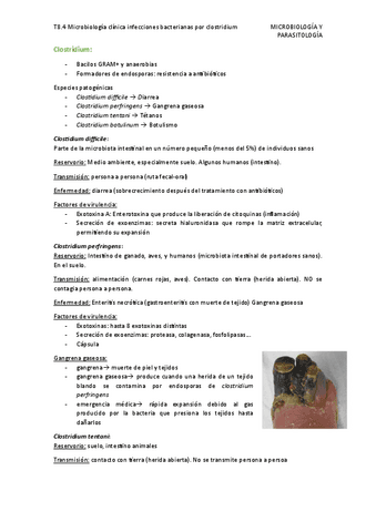 T8.4-Microbiologia-clinica-infecciones-bacterianas-por-clostridium.pdf