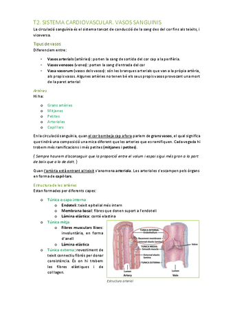 T2.-sistema-cardiocirculatori-els-vasos-i-la-circulacio.pdf