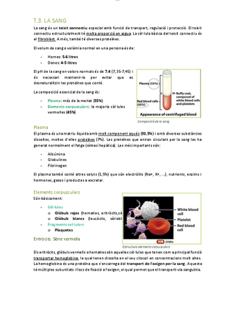 T3.-Sistema-Circulatori-la-sang.pdf
