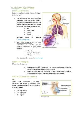 T5.-Sistema-respiratori.pdf