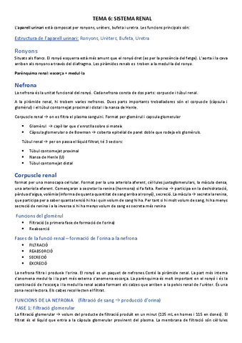 T7.-Sistema-renal.pdf