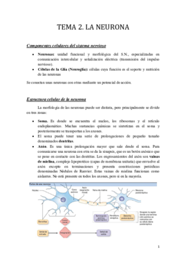 Tema 2.pdf