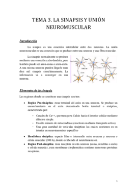 Tema 3.pdf