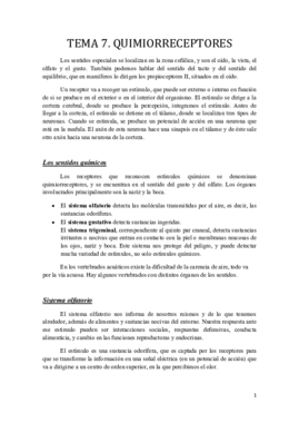 Tema 7.pdf