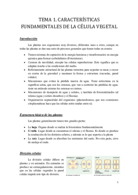 Tema 1.pdf