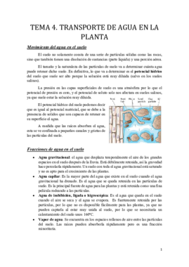 Tema 4.pdf