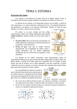 Tema 5.pdf