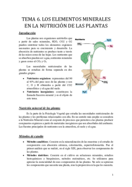 Tema 6.pdf