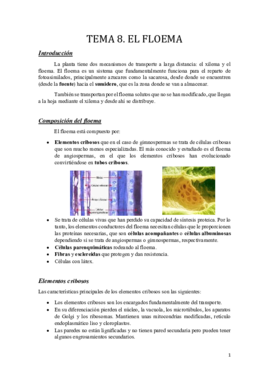 Tema 8.pdf