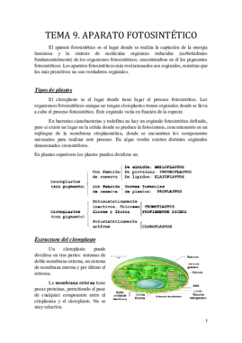Tema 9.pdf