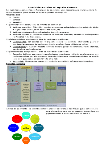 Fundamentos-Tema-2.pdf