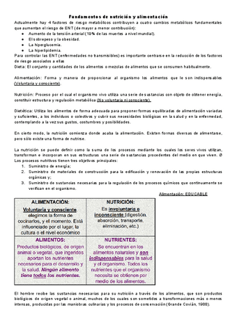 Fundamentos-Tema-1.pdf