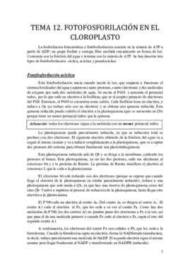Tema 12.pdf