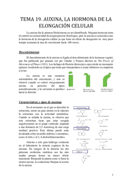 Tema 19.pdf