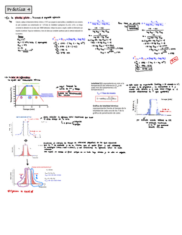 TECNOLOGIA-practicas-P-TA4.pdf