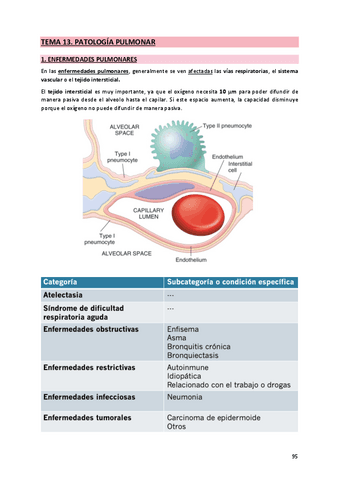 13. Patología pulmonar.pdf