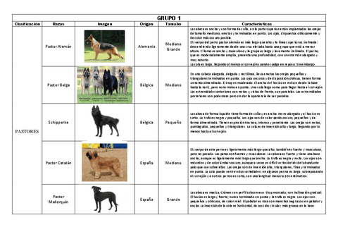 Etnologia-Comparada-Perros.pdf