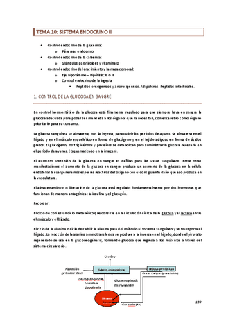 TEMA-10.pdf