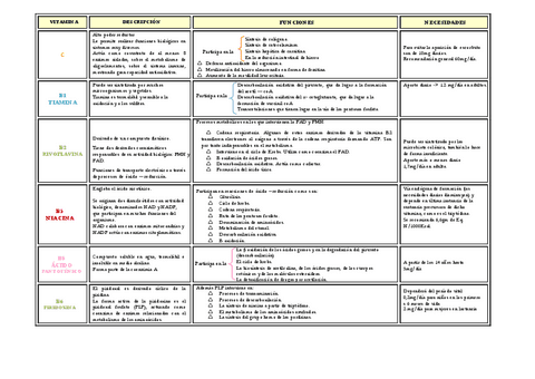 Resumen-Vitaminas.pdf