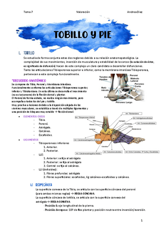 TEMA-7-Tobillo-y-Pie.pdf