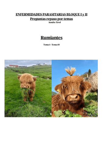 Rumiantesparasitarias-POSIBLESPREGUNTAS.pdf