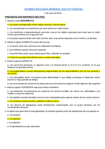 SOLO-2o-PARCIAL.pdf