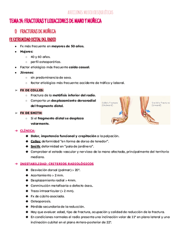 Tema 24: fx.-lux.mano y muñeca.pdf