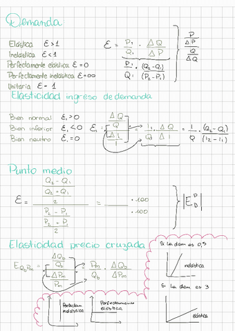 ELASTICIDAD-ECONOMIA.pdf