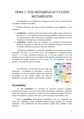 Tema 1.pdf